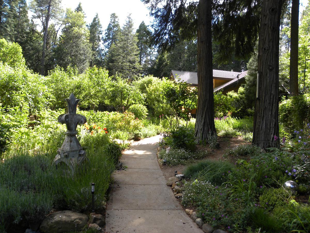 Harmony Ridge Lodge Nevada City Zewnętrze zdjęcie