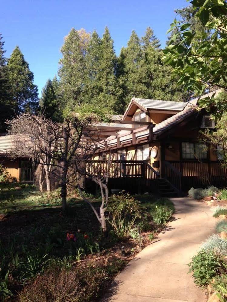 Harmony Ridge Lodge Nevada City Zewnętrze zdjęcie